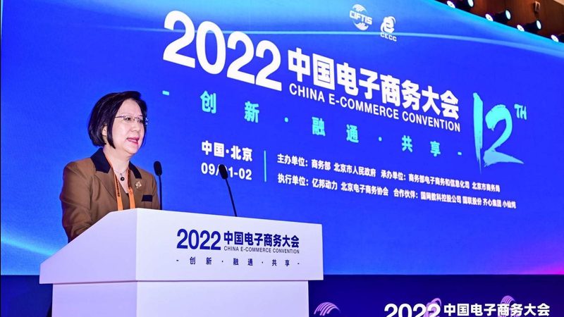 服装独立站建站，价格背后的考量因素