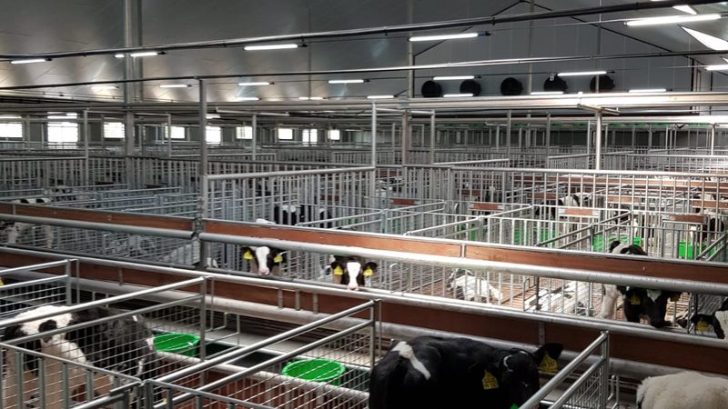外贸shopify建站模板推荐