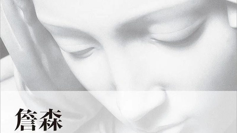 亚马逊代运营合同模板：免费获取与关键要素解析
